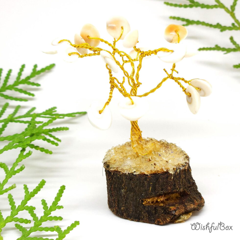 Gomti Chakra Tree | 20 Chips