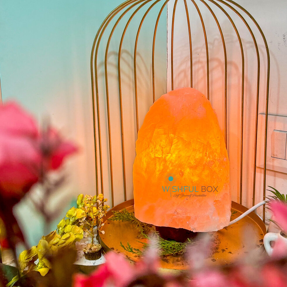 Pink Salt Natural Shape Lamp