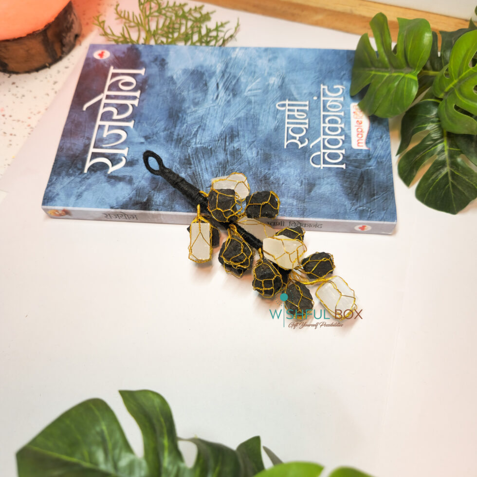 Selenite & Black Tourmaline Hanging